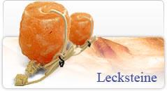 Lecksteine
